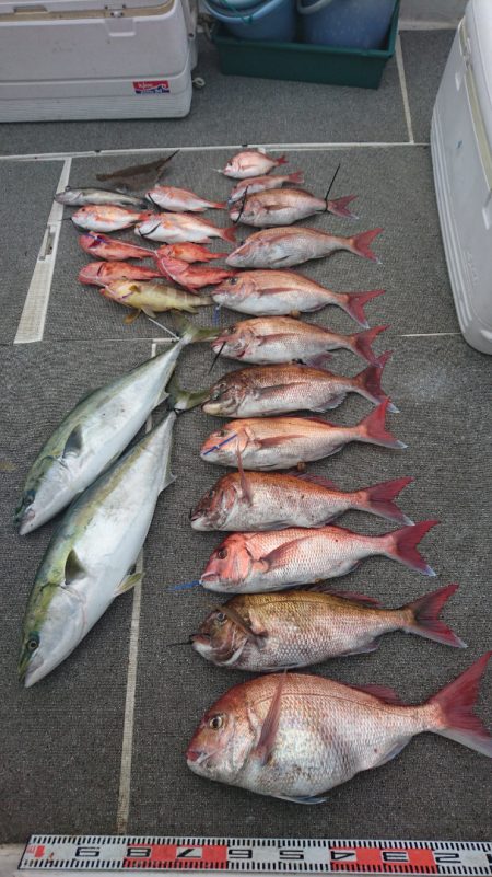 ARCADIAⅡ (アルカディアⅡ) 釣果