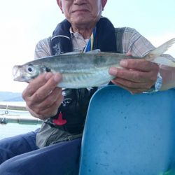 小島丸 釣果