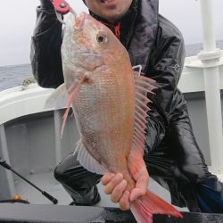 だて丸 釣果