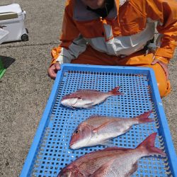 第三共栄丸 釣果