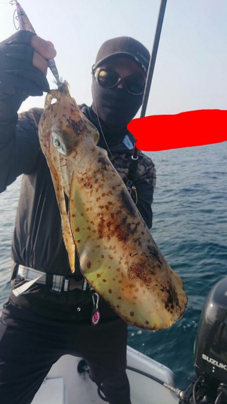 きずなまりん 釣果