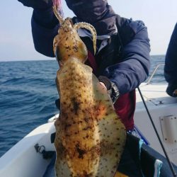 きずなまりん 釣果