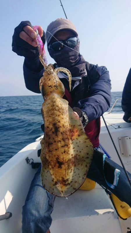 きずなまりん 釣果