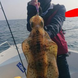 きずなまりん 釣果