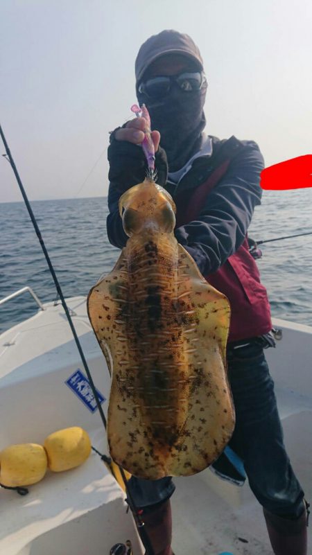 きずなまりん 釣果