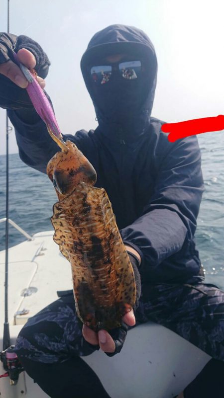 きずなまりん 釣果