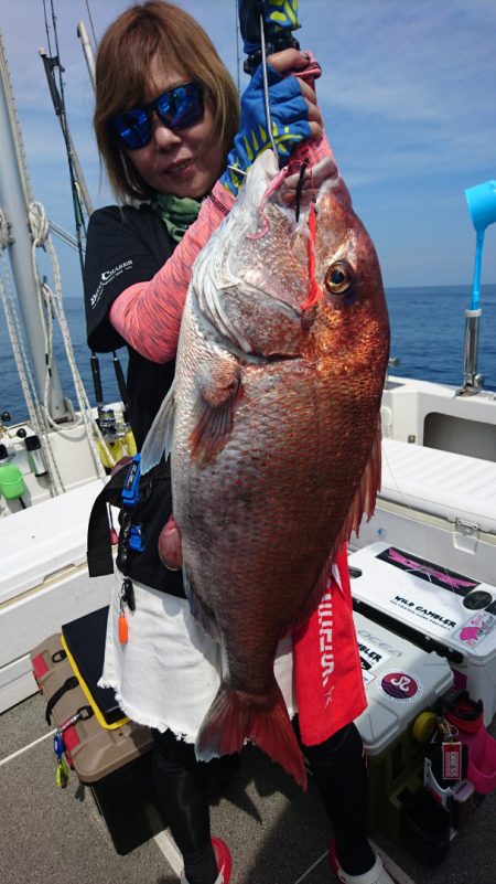 ARCADIAⅡ (アルカディアⅡ) 釣果