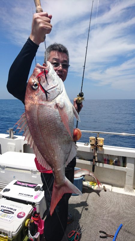 ARCADIAⅡ (アルカディアⅡ) 釣果