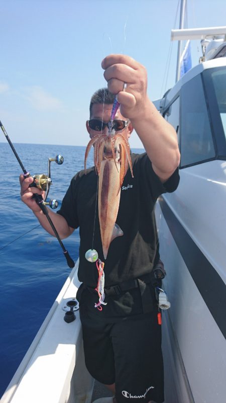 ARCADIAⅡ (アルカディアⅡ) 釣果