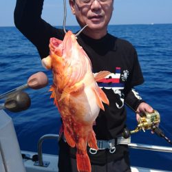 ARCADIAⅡ (アルカディアⅡ) 釣果