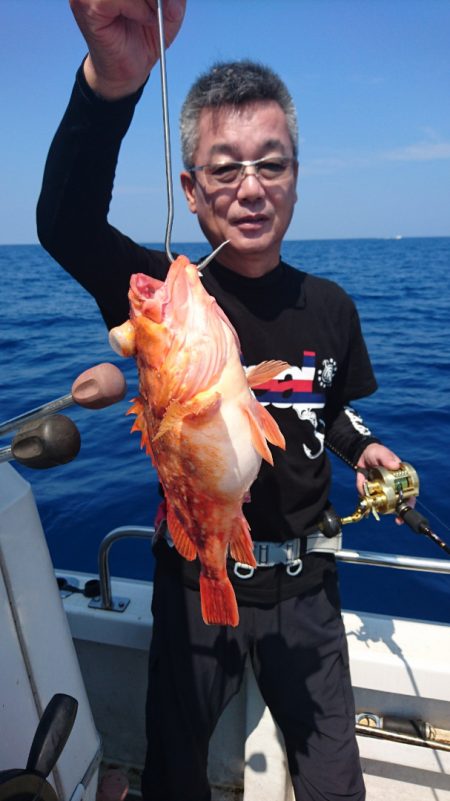 ARCADIAⅡ (アルカディアⅡ) 釣果