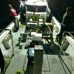 LUSTER『ラスター』 釣果