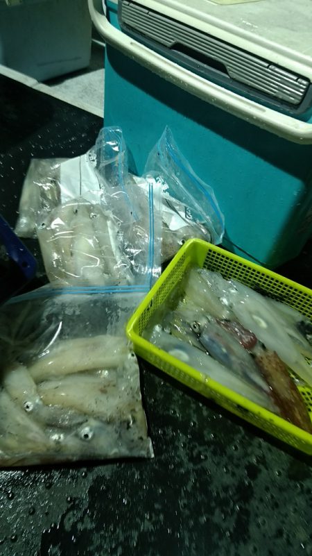 LUSTER『ラスター』 釣果