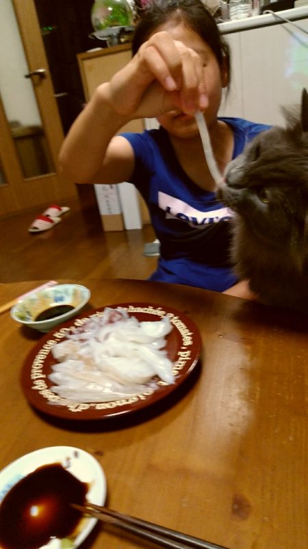 LUSTER『ラスター』 釣果