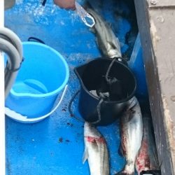 海龍丸（石川） 釣果