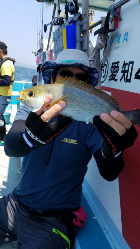 みやけ丸 釣果