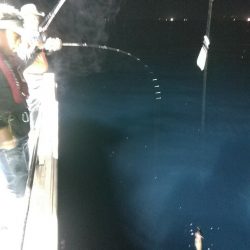 LUSTER『ラスター』 釣果