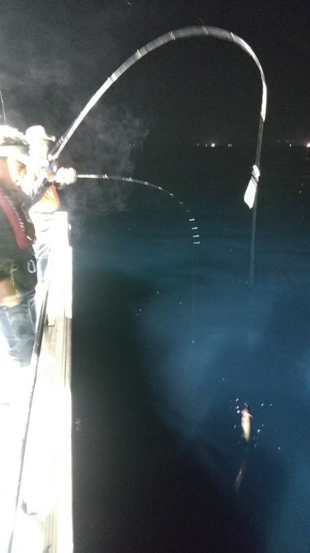 LUSTER『ラスター』 釣果