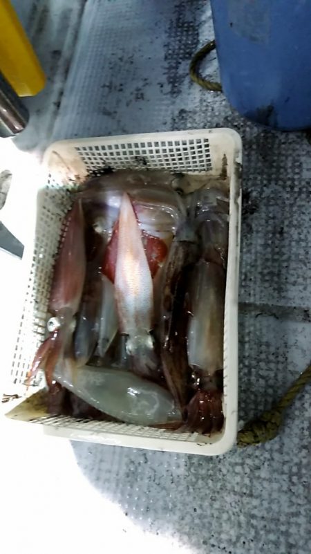 LUSTER『ラスター』 釣果