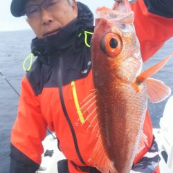 ブルドック 釣果