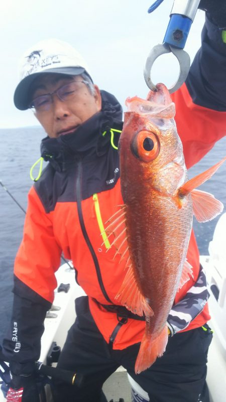 ブルドック 釣果