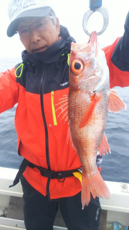 ブルドック 釣果