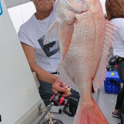だて丸 釣果