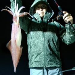 LUSTER『ラスター』 釣果