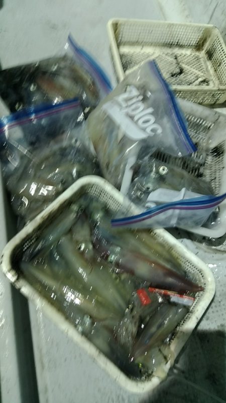 LUSTER『ラスター』 釣果