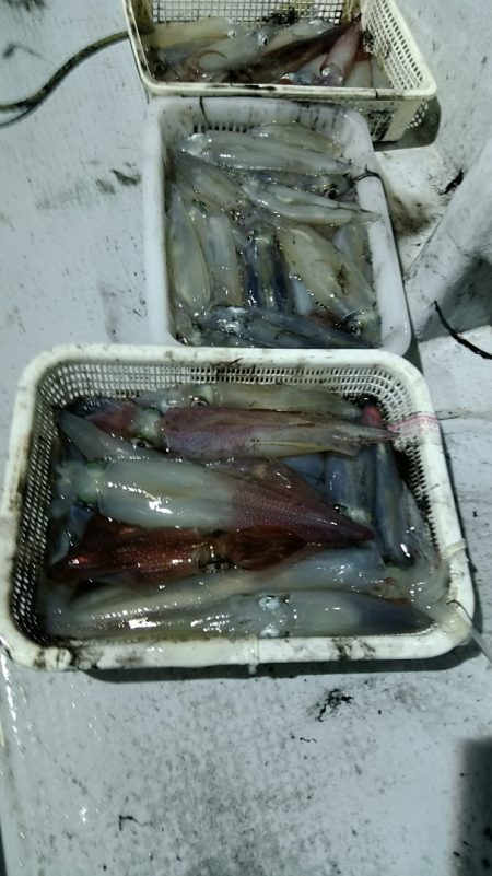 LUSTER『ラスター』 釣果