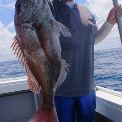 だて丸 釣果