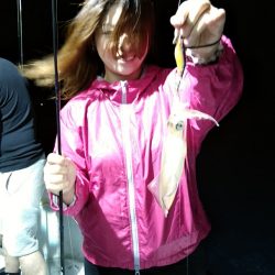 LUSTER『ラスター』 釣果