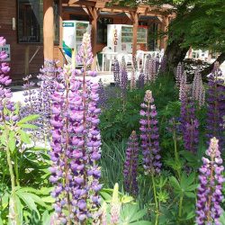 平谷湖フィッシングスポット 釣果