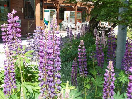 平谷湖フィッシングスポット 釣果