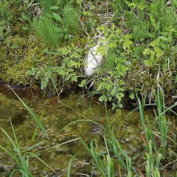 平谷湖フィッシングスポット 釣果