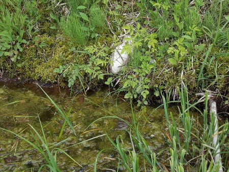 平谷湖フィッシングスポット 釣果