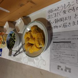 平谷湖フィッシングスポット 釣果