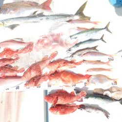 水天丸 釣果