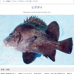 光生丸 釣果