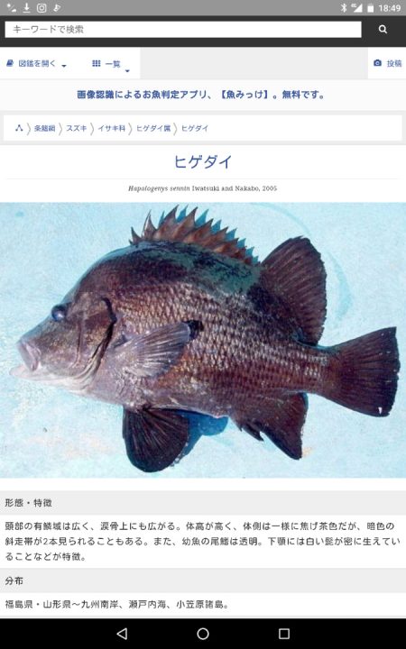 光生丸 釣果