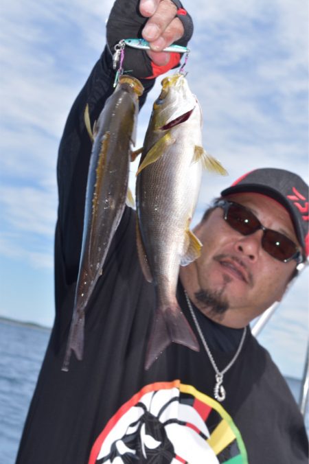 渡船屋たにぐち 釣果