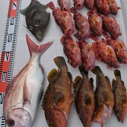 遊漁船　家入 釣果