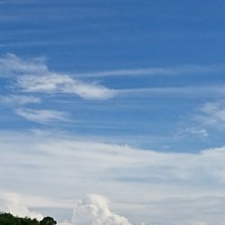 遊漁船 家入 釣果