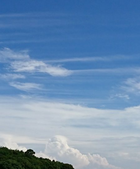 遊漁船 家入 釣果