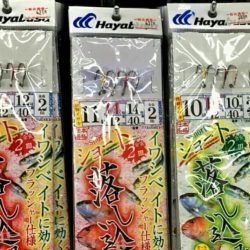 ブルースフィッシングサービス 釣果