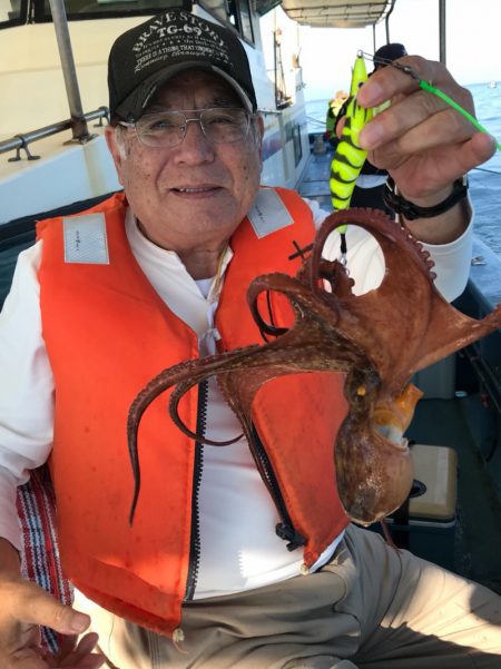 ヤザワ渡船 釣果