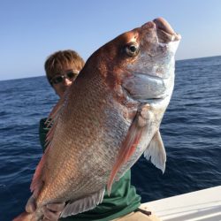 アマテラス 釣果