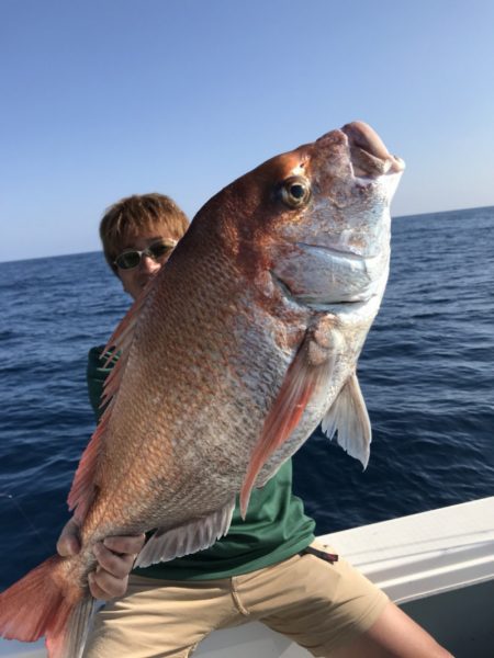 アマテラス 釣果