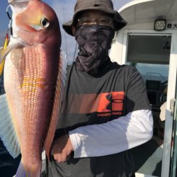 アマテラス 釣果