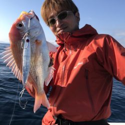 アマテラス 釣果